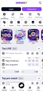 Анализ Wowbet Рейтинг Ваш надежный проводник в мире онлайн-гемблинга