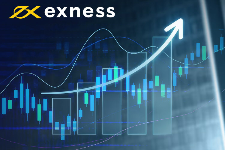 Exness User Review Insightful Experiences from Real Traders
