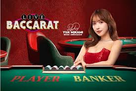 바카라 입문부터 고급 전략까지 완전 정복 바카라 입문부터 고급 전략까지 완전 정복