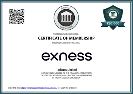 Understanding Exness Login Area for Traders