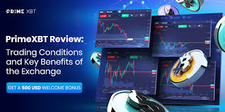 Unleashing the Power of Trading The Ultimate Guide to the PrimeXBT App for Android